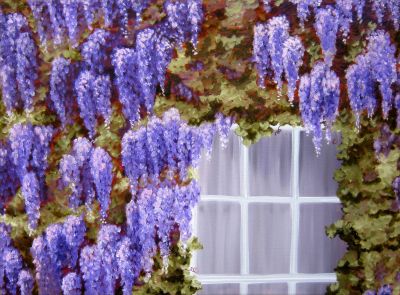 Window in the Wisteria