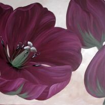 Tulip Time