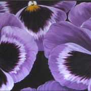 Pansy Paradise