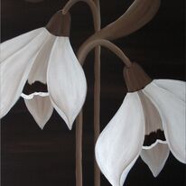 Chocolate Snowdrops