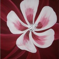Aquilegia