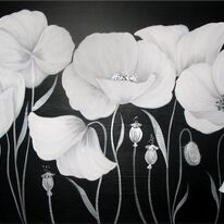 Cotton Poppies