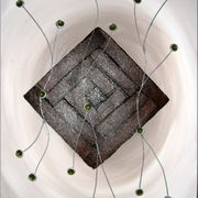 Chocolate Limes