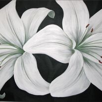 Lovely Lilies