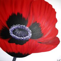 Sarahs Poppy