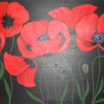 Nikki's Poppies