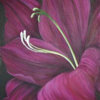 Glorious Gladiolus