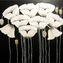 Ivory Poppies