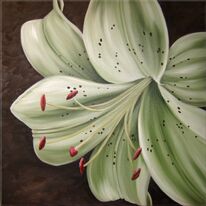 Choc Mint Lily