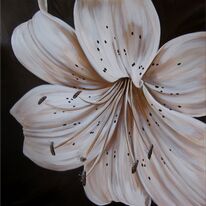 Laura's Lily