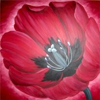 Crimson Passion