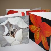 cards