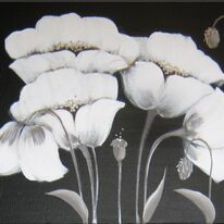 Snow Poppies