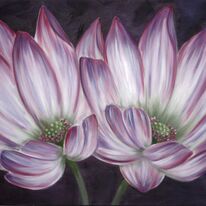 Lotus Love