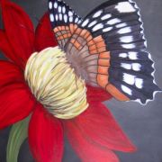 Busy Butterfly