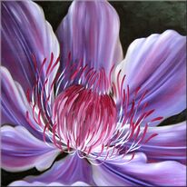 Cool Clematis