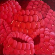ripe-raspberries
