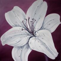 Damson Diva