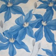 Blue Clematis