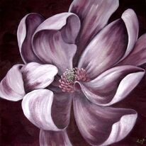 Magnolia Memories