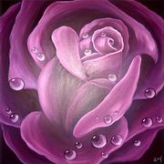 Raindrops on Roses