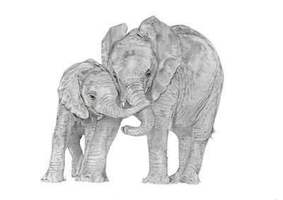 Elephants