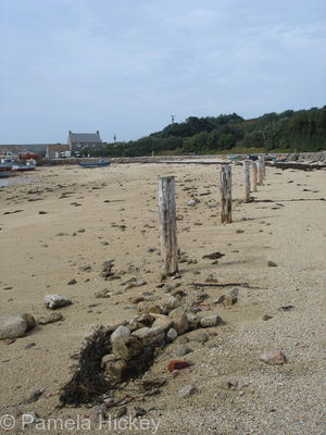 New Grimsby Harbour, Tresco