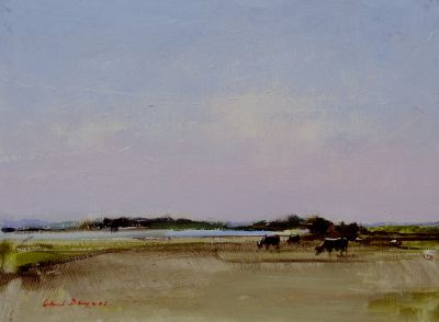 The watermeadow