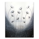 Forest Poppies