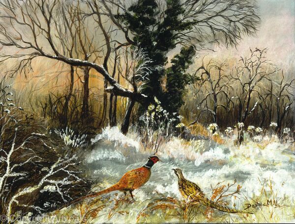Pheasants in snow