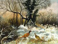 Pheasants in snow
