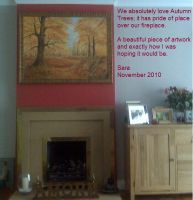 Autumn Woods
