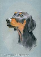 dobie