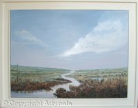 Across the Marshes