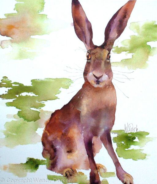 Alert Hare