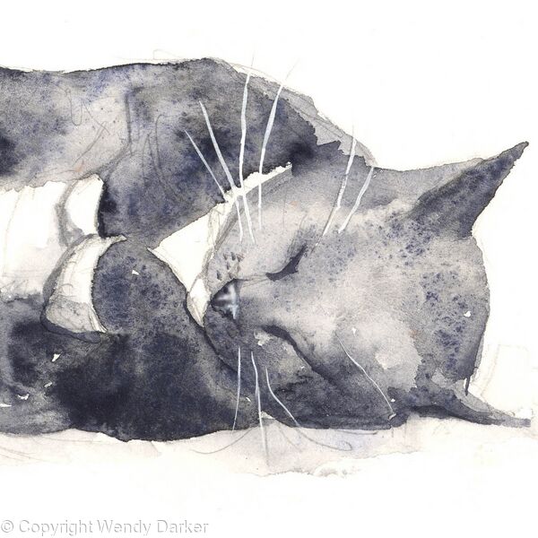 Black Cat
