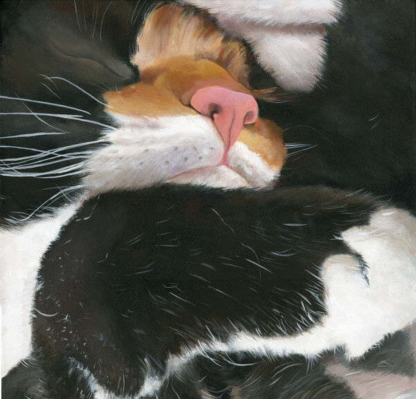 Little Cat