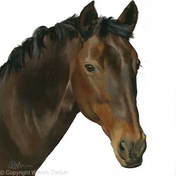 Brown Horse