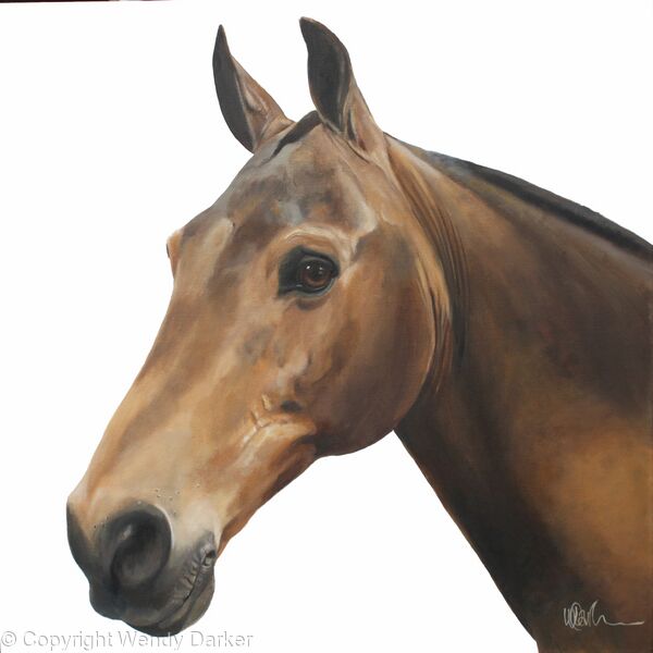 Light brown horse