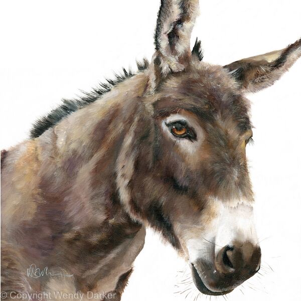 Donkey