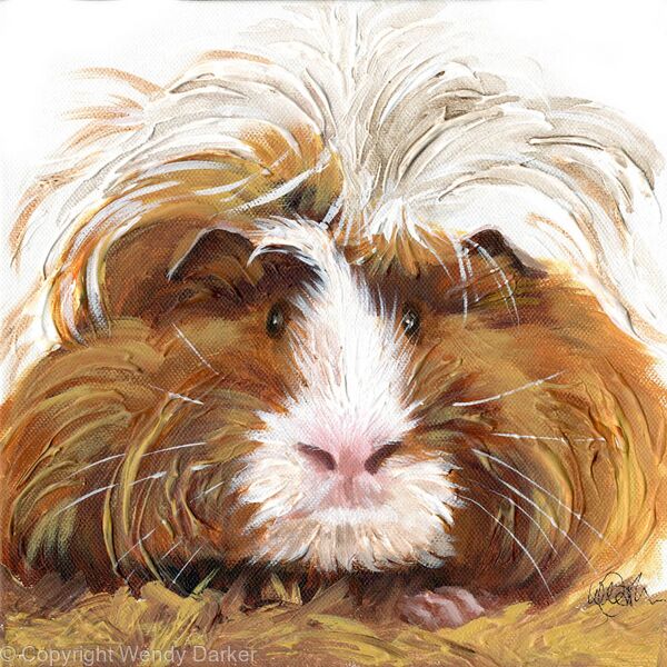 Brown guinea pig