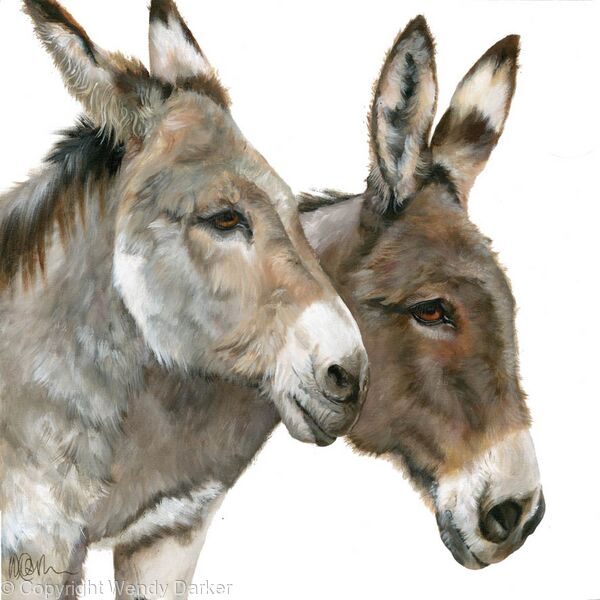 Two donkeys