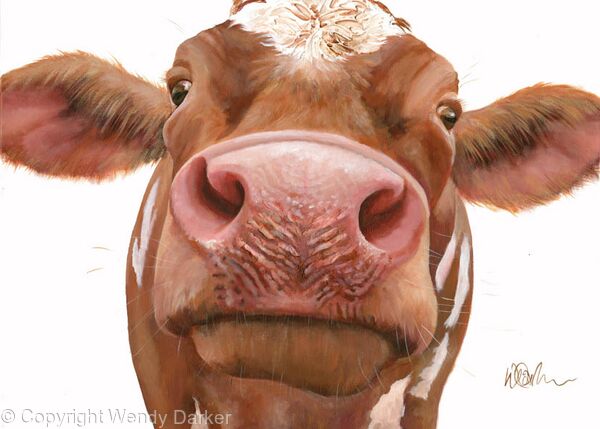 Inquisitive cow