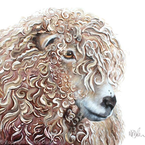 Curly-sheep