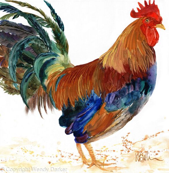 Cockerel