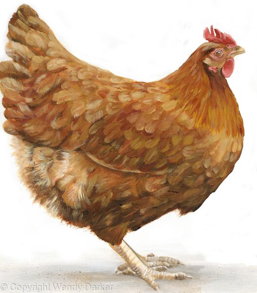 Holly Hen