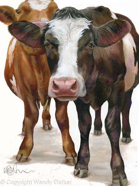 Colourful Cows