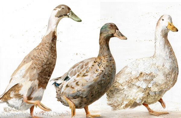 Running Ducks