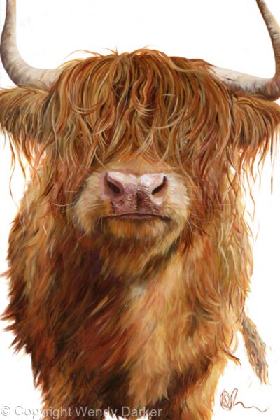 Haggis Highland