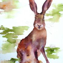 Alert Hare